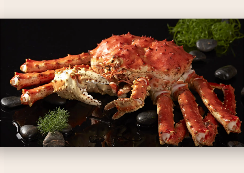 人间海上宴，鲜宴世纪缘，由我们重新定义海鲜盛宴